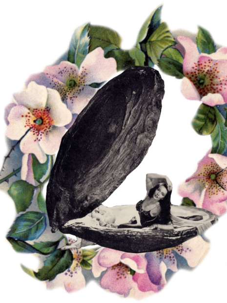 Sisterhood of the Clam